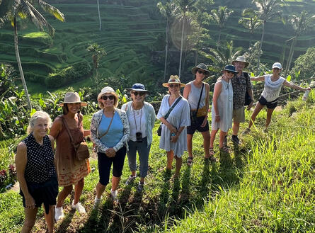 Rice fields Tegallaland Bali